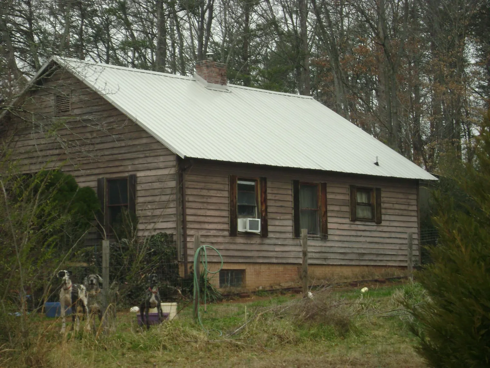 White metal roof on an old wood sided farmhouse, from a Asphalt Shingle Roof Repair job in Tingley